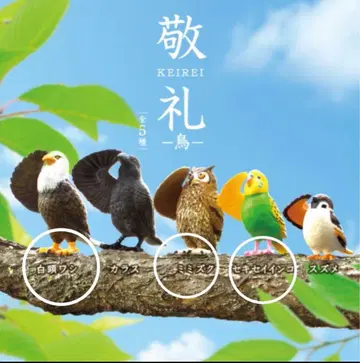 경례 새 피규어 흰머리수리 수리부엉이 잉꼬 가챠가챠