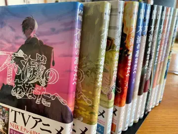 불멸의 당신에게 1~13권 세트