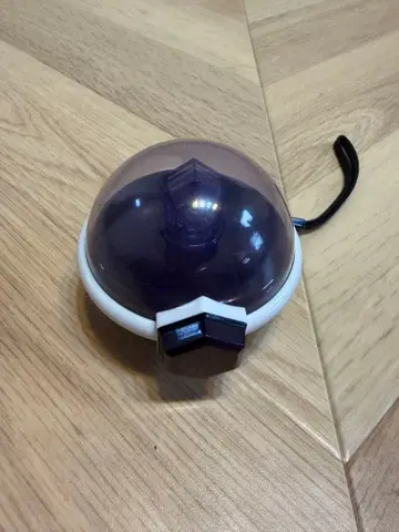 포켓몬 테라스타 루브 DX