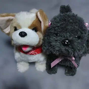 사이좋은 강아지 기믹 봉제 인형 전 2종 2체 세트 T185