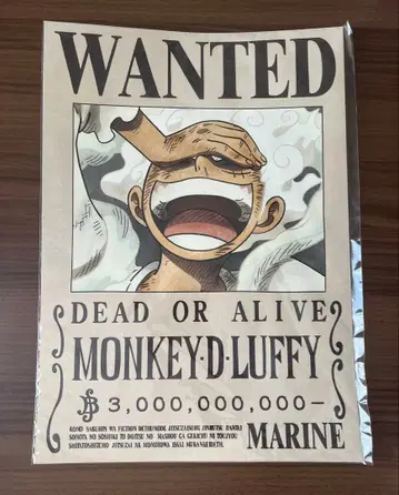 원피스 해군 발행 공식 현상 수배 포스터 루피, 상디, 로