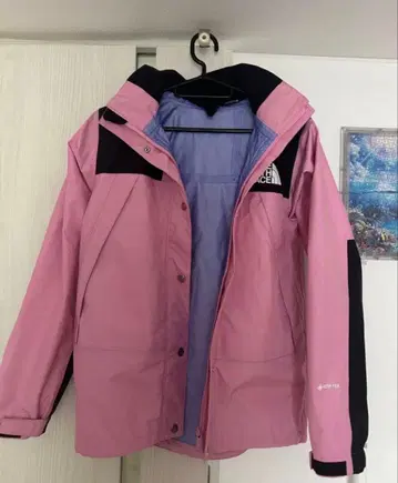 THE NORTH FACE GORE-TEX 마운틴 파카