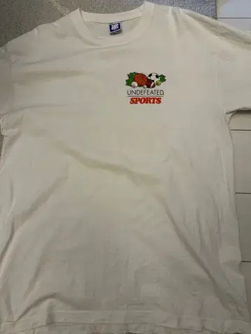 UNDEFEATED 스포츠 T셔츠 화이트