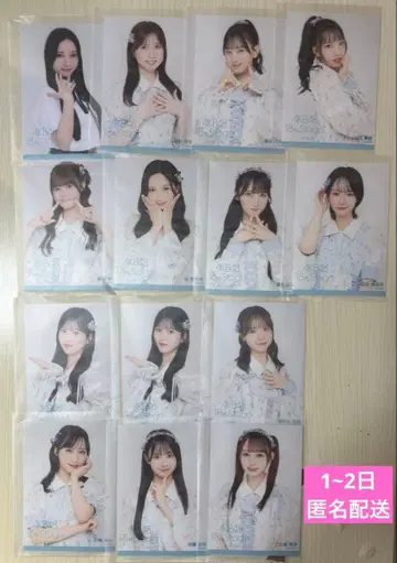 AKB48 코코카라다 브로마이드 14장 세트