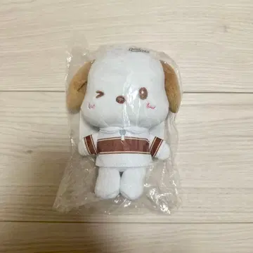 세인트 루돌프 학원 중학교 x 포차코