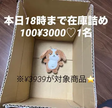 소형견 봉제 인형 브라운과 화이트