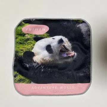 유이힌 미니 타월 어드벤처 월드 팬더