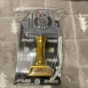 10th WEST. 응원봉