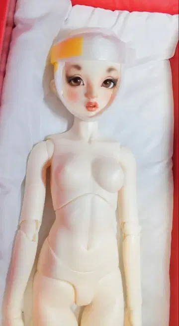 슈퍼돌피 SDGr 나카하라 준이치 패턴판 앨리스 도트 원피스