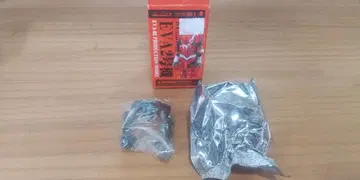 큐브릭 에반게리온 신극장판 파 EVA 2호기