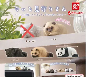 살짝 지켜주는 씨 캡슐 토이 4종 묶음 판매 퍼그 크로네코 너구리 팬더