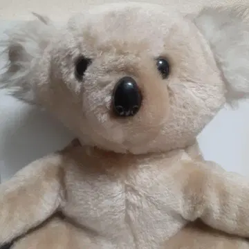 빈티지 쇼와 레트로 레트로 팝 사랑스러운 코알라 봉제 인형 동물 컬렉션