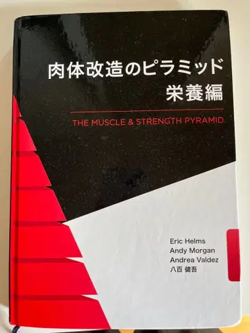 신체 개조의 피라미드 영양편