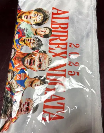 알비렉스 니가타 타월