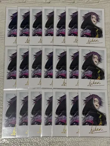 니지산지 와타라이 히바리 폴라로이드 R 21장