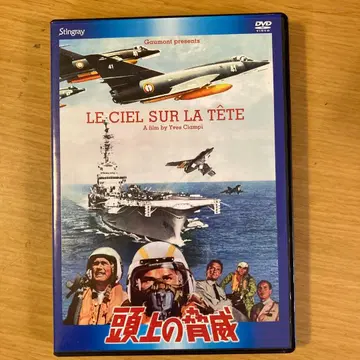 머리 위의 위협