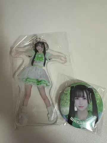 와카바노아 아크릴 키링, 캔 배지