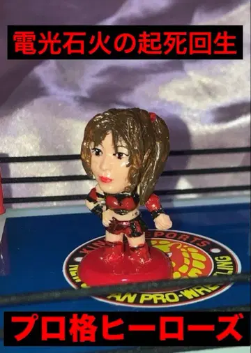 프로 격투 히어로즈 전광석화의 기사회생 스타덤의 식재료