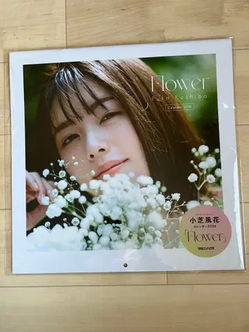 코시바 후우카 씨 Flower 달력 3권 카드 포함 미개봉 새상품