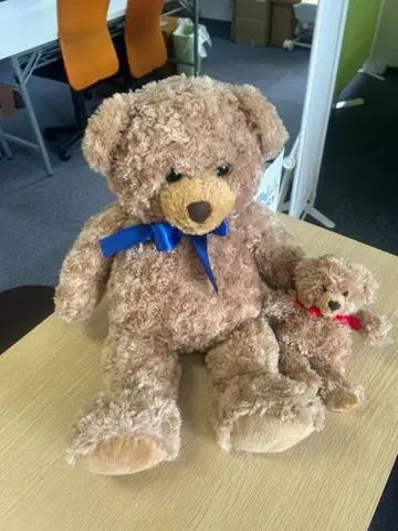 브라운 곰 봉제 인형 세트 55cm와 23cm