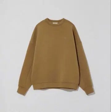 eaphi logo big sweat