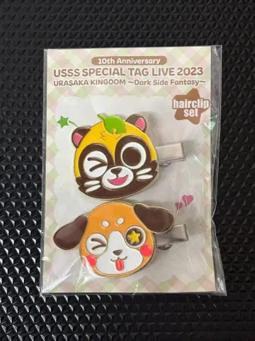 USSS 10주년 기념 헤어 클립 세트