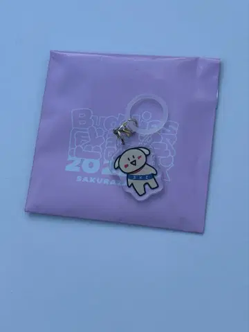 사쿠라자카46 타니구치 아이리 메지루시 참