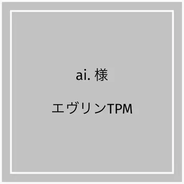 에블린 TPM 백 인 백