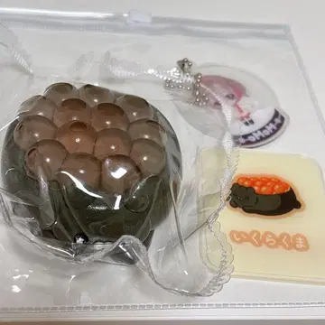 momo 스퀴즈 오스시 스시 스퀴즈 이쿠라곰