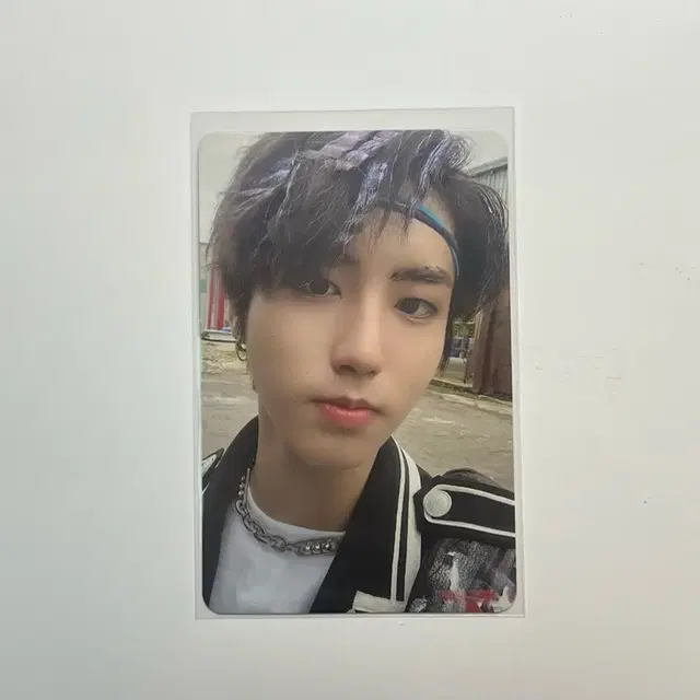 스트레이키즈 한 고생 백도어 앨범 포카 앨포 양도 판매