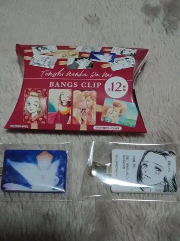 천사따윈 필요없어 시크릿 앞머리 클립 2개 세트