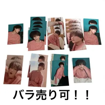 야기 유세이 트레이딩 카드 23장 세트 (낱개 판매 가능)