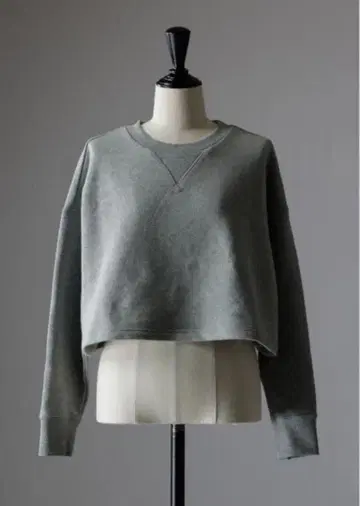 T.japan 이번 시즌 속기모 맨투맨 그레이