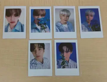 SEVENTEEN HANABI 인스턴트 사진 폴라로이드 6장 묶음 판매
