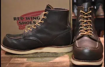 8E 14년 레드윙 8180 아이리쉬 세터 캉가탄