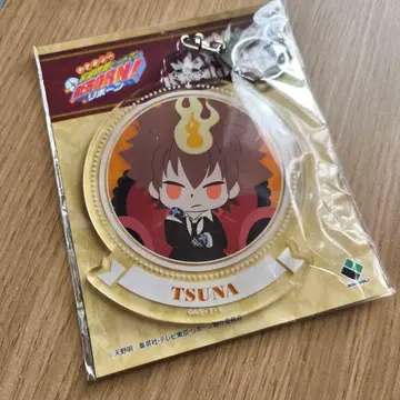 가정교사 히트맨 reborn 사와다 츠나요시 아크릴 키링