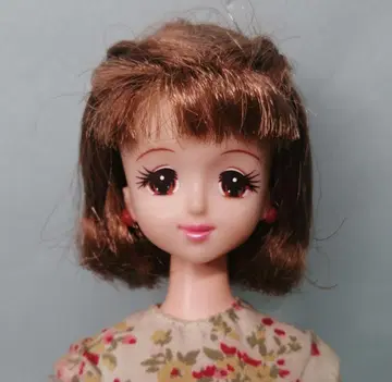 제니짱 TAKARA JAPAN제 브라운 헤어