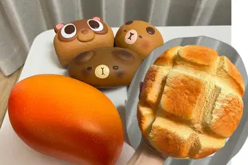 스퀴즈 5종 세트