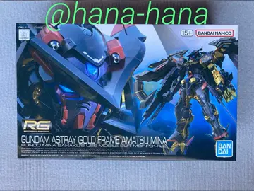 RG 건담 아스트레이 골드 프레임 아마츠 미나