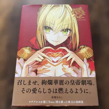 아이 와다 아루코 Fate ART WORKS 화집