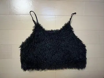 리디 퍼 뷔스티에