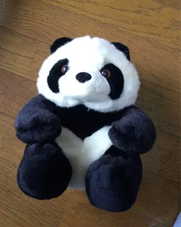 팬더 인형