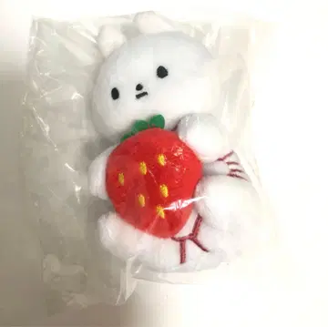 킷코짱 미가킷코짱 이치고 키링 미사용 새상품