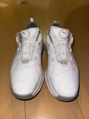Puma 골프화 다이얼식 화이트
