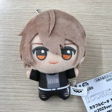 컬러풀 피치 SD 인형~2025ver.~ 우리