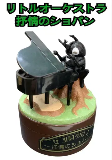 리틀 오케스트라 쇼팽의 서정