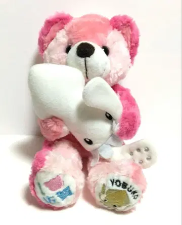 지역 한정 베어 요부카 이카 베어 봉제 인형