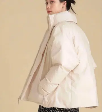 MARMOT x Ray BEAMS 별주 다운 자켓