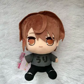 컬러풀 피치 우리 앉아 BIG 봉제 인형 택 포함 2