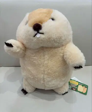 마모트의 마토토 구이인 점보 아타로 봉제 인형